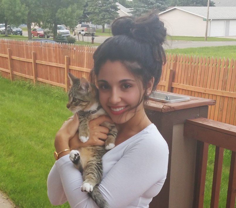 Kitten