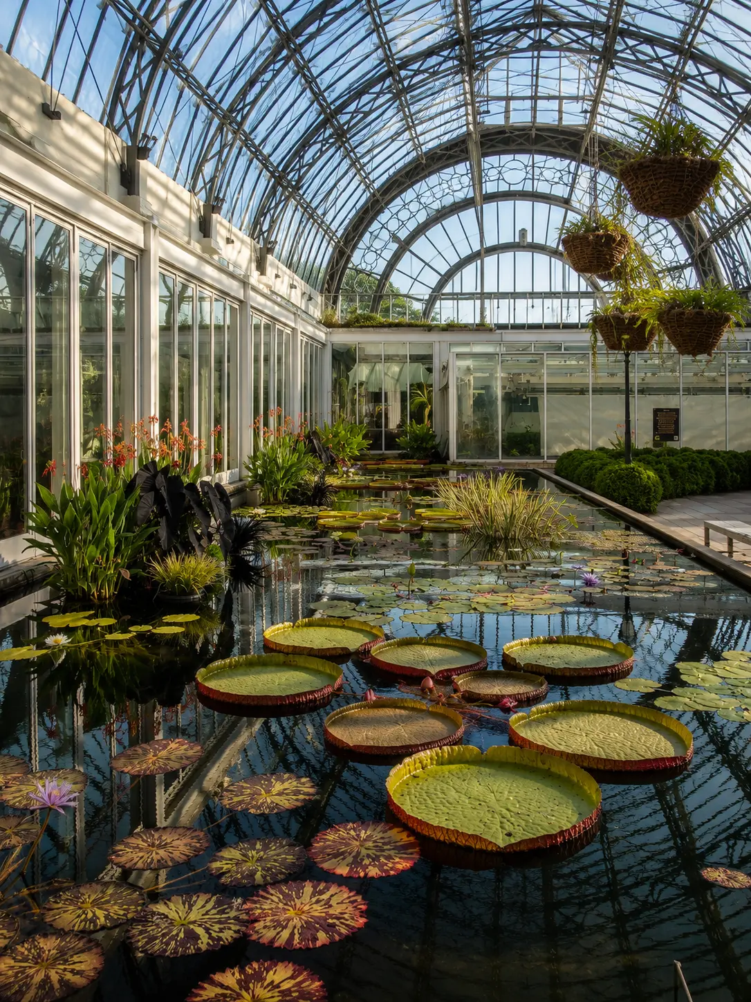Botanical garden