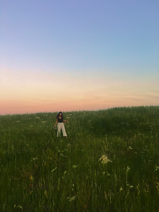 Meadow at sunset