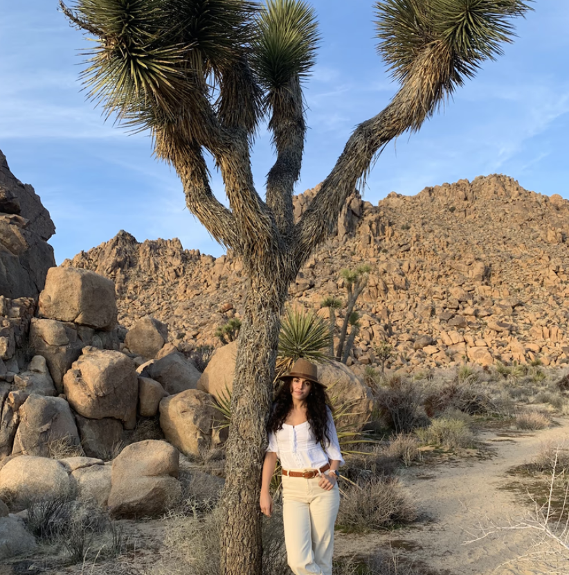 Joshua Tree